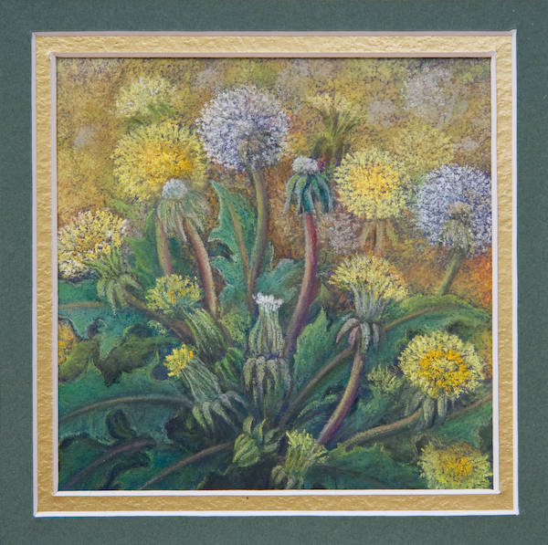 Sunshine after rain.jpg